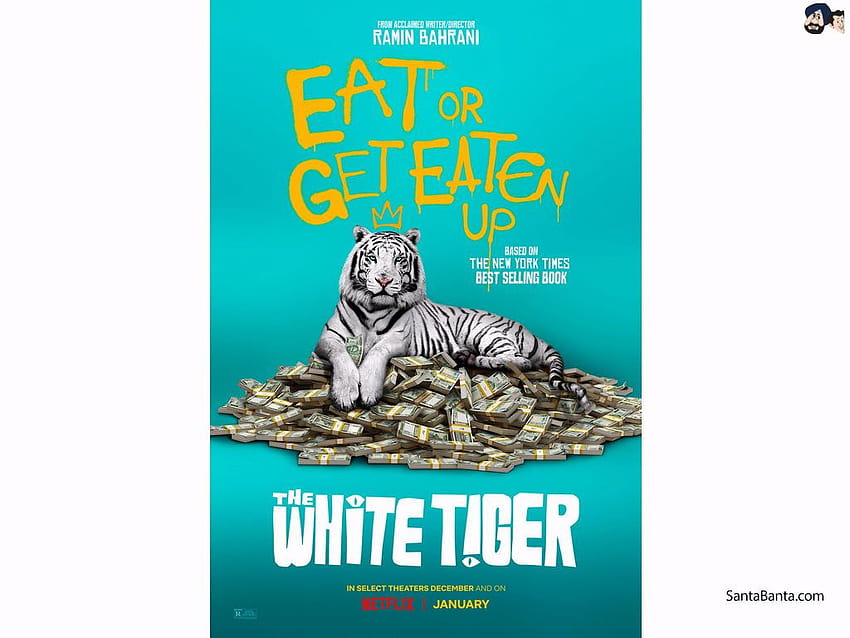 A Hindi drama film `The White Tiger` directed by Ramin Bahrani HD wallpaper