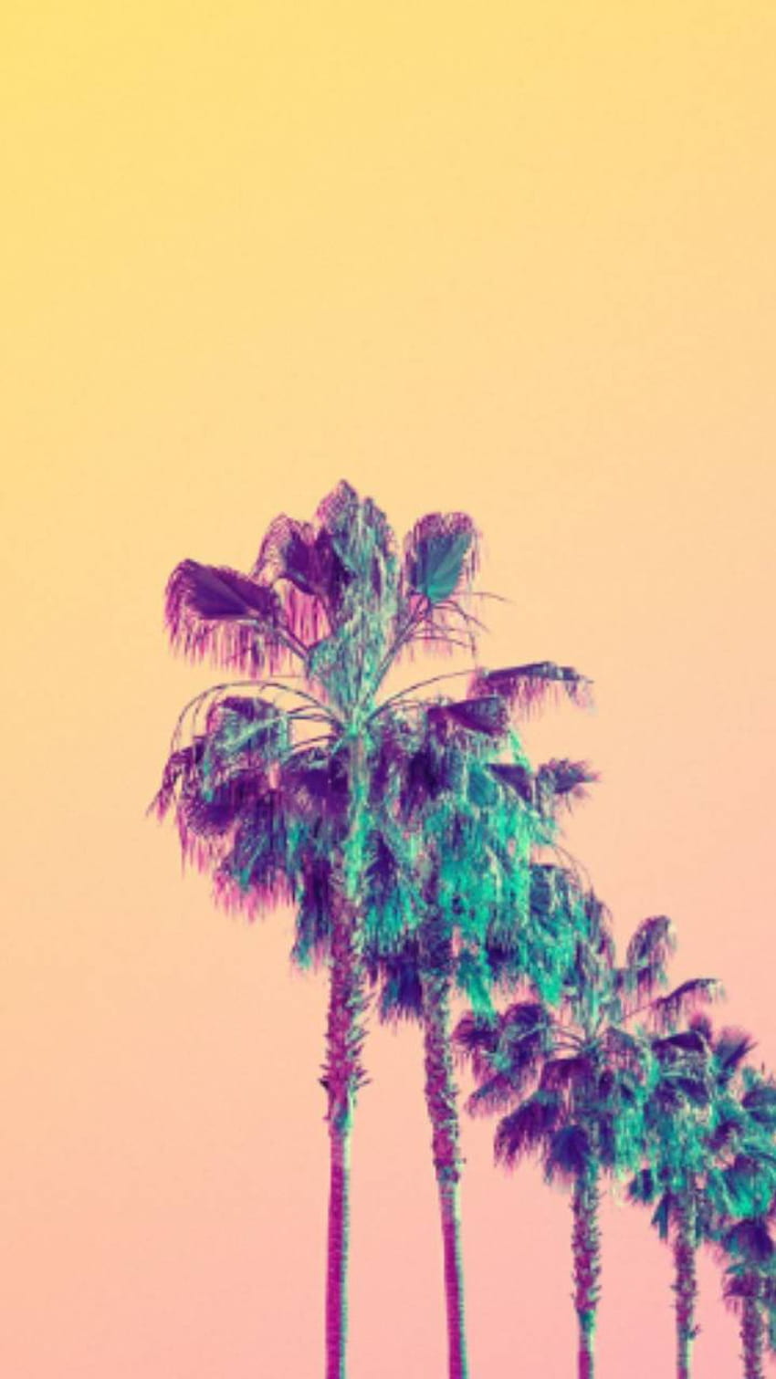 Aesthetic palm by Lovely_nature_27, aesthetic palm trees HD phone ...