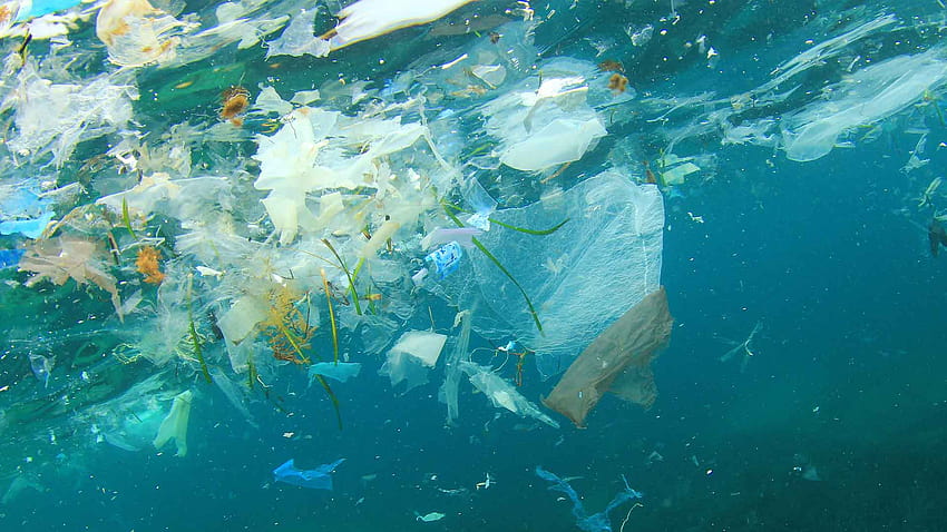 Намаляване на замърсяването с пластмаса в нашите океани – световна околна среда HD тапет