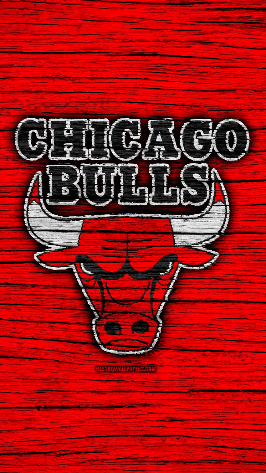 Sports Chicago Bulls chicago bulls 2022 HD phone wallpaper  Pxfuel