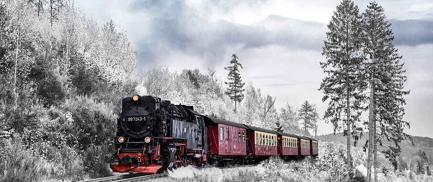 2560x1080 tren, orman, kış, demiryolu, karda kırmızı tren HD duvar kağıdı