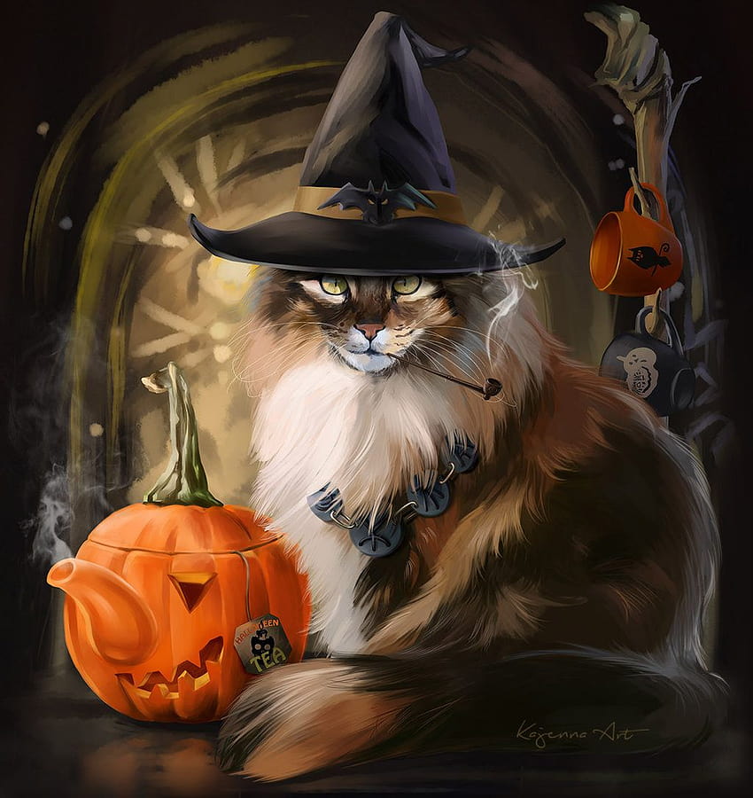 Beautiful Witch Cat HD phone wallpaper