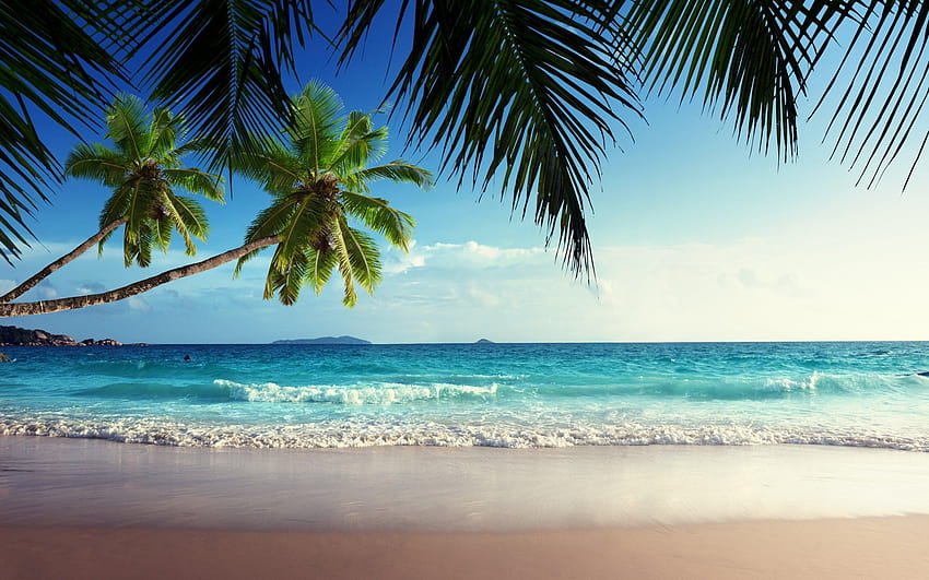 Emerald sea paradise sunshine beach sky tropical blue coast, sunshine coast HD wallpaper