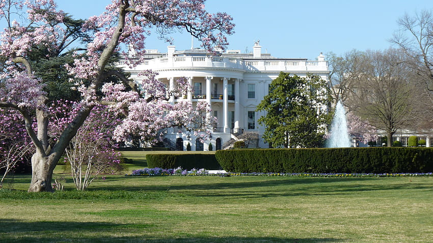 White House Ultra, the white house HD wallpaper