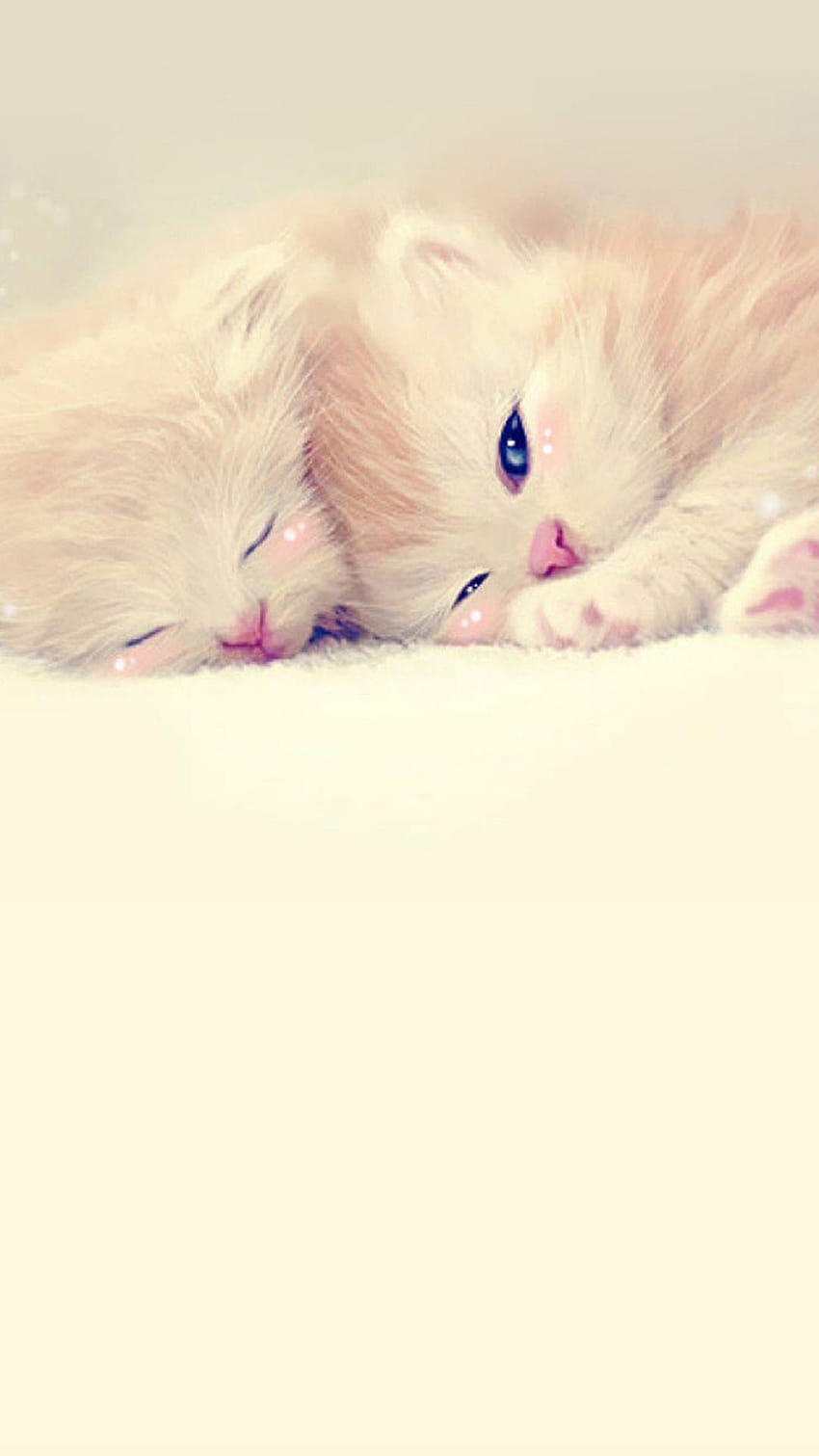 Two kittens sleeping and snuggled, snuggling HD phone wallpaper