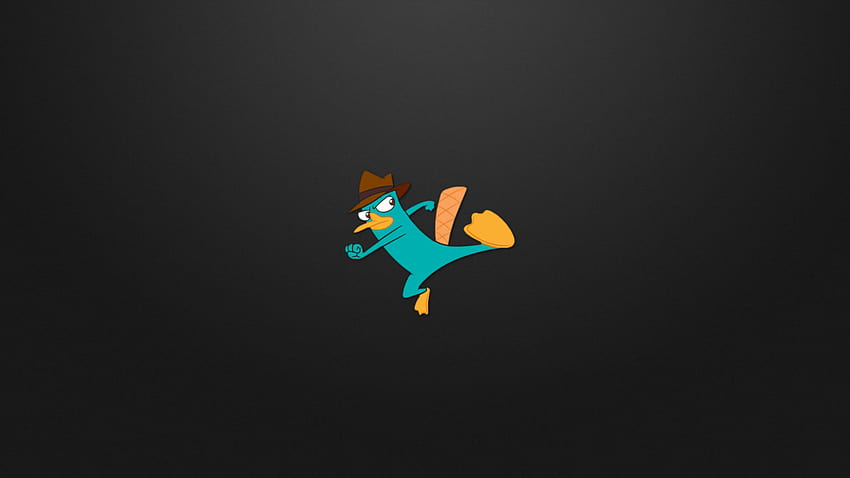 Perry the platypus Gallery, platypus perry HD wallpaper