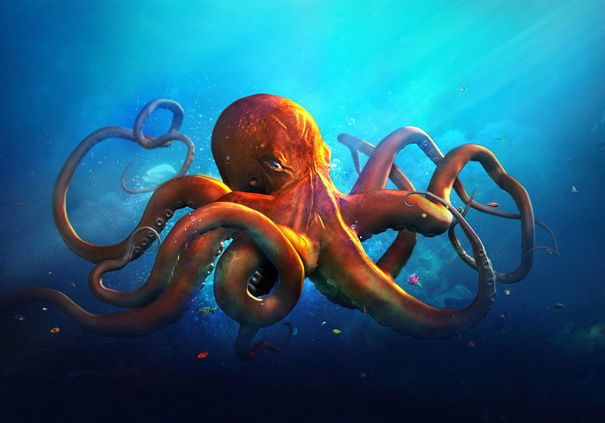 Orange Octopus 3D, 2388x1668 HD wallpaper