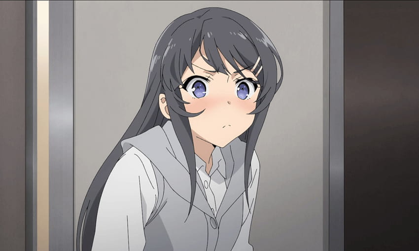 Arquivos Seishun Buta Yarou wa Bunny Girl-senpai no Yume wo Minai