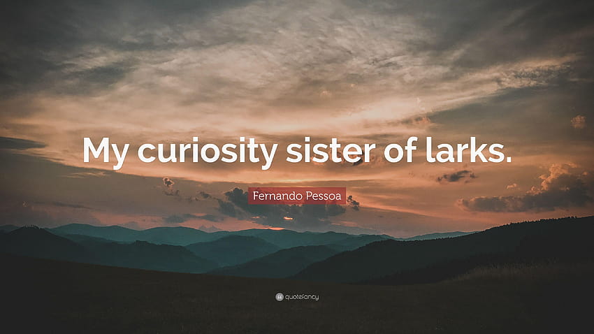 Frase de Fernando Pessoa: “Minha curiosidade irmã das cotovias.” papel de parede HD