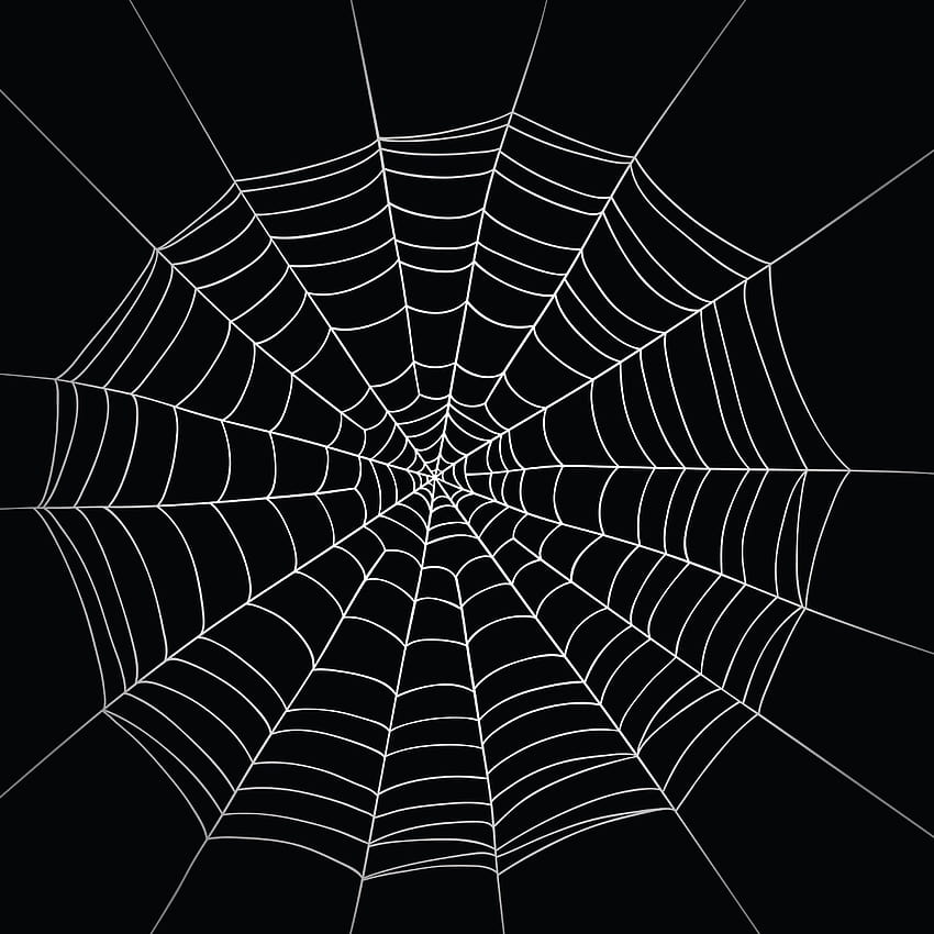 Spiderweb HD phone wallpaper