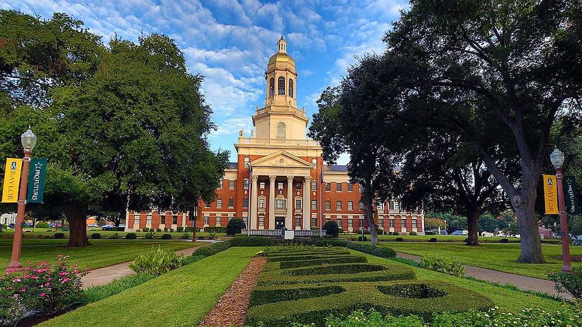 Baylor University Selects Oracle Cloud Applications to Gain, baylor university computer HD wallpaper