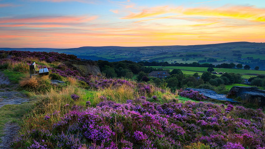 Norland Moor West Yorkshire Royaume-Uni Coucher de soleil Paysage Pour : 13, landes Fond d'écran HD