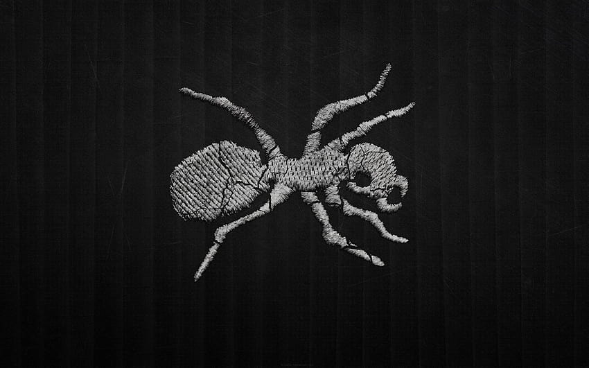 logo cudownego mrówki na ciemnym tle bębna strip breakbeat i cudownego zespołu Tapeta HD