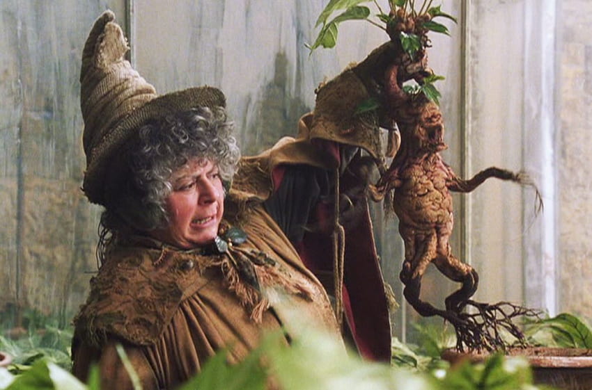 Category: of Pomona Sprout, professor sprout HD wallpaper