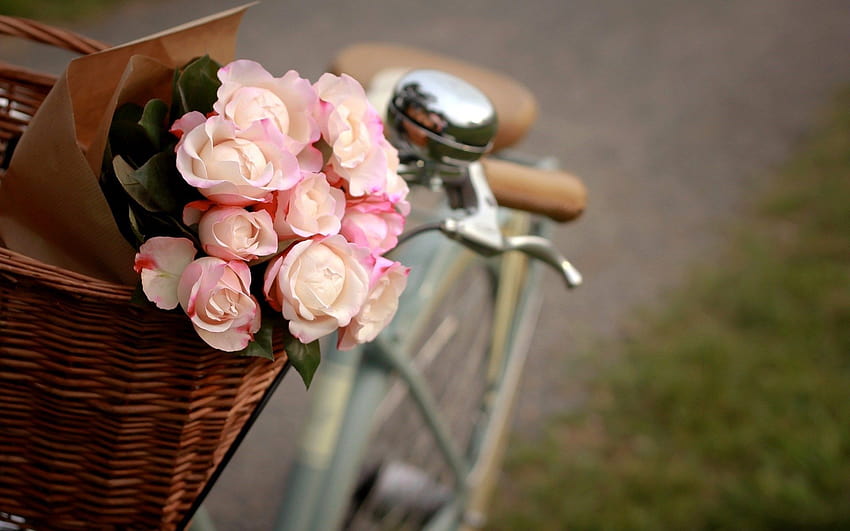 4 Bicycles and Flowers, girl and a basket of flower HD wallpaper