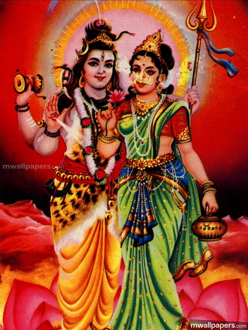 Tanrıça Parvati & Başlık Tanrıçası, maa parvati HD telefon duvar kağıdı