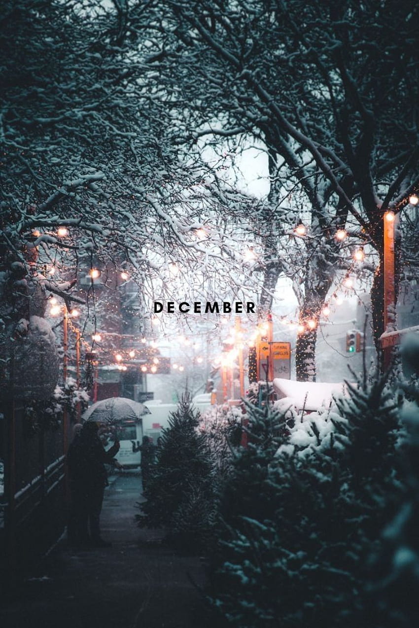 December Aesthetic, winter christmas aesthetic HD phone wallpaper