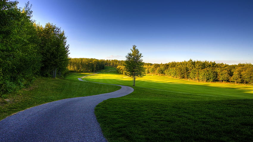 Landscape, Meadow, Grazing, Morning, Golf Course, open HD wallpaper