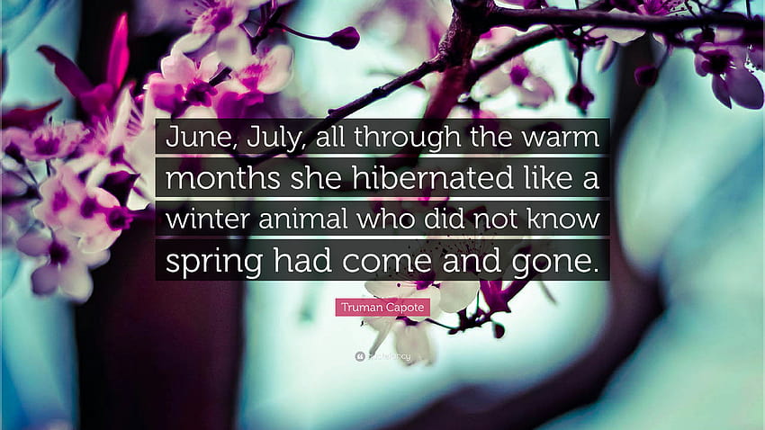 Truman Capote Quote: “June, July, all through the warm months she, spring months HD wallpaper
