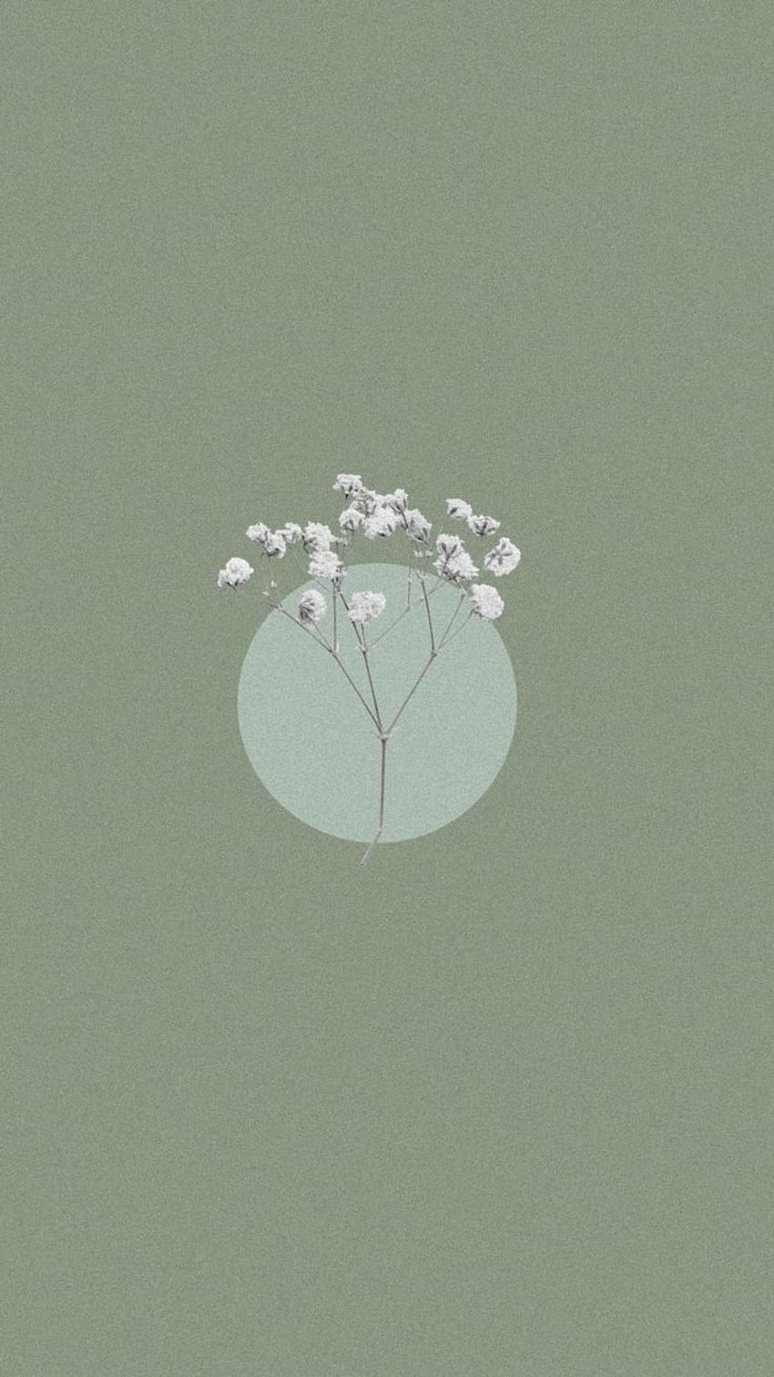 Free Sage Green Aesthetic Wallpaper for Your Phone  Just Jes Lyn