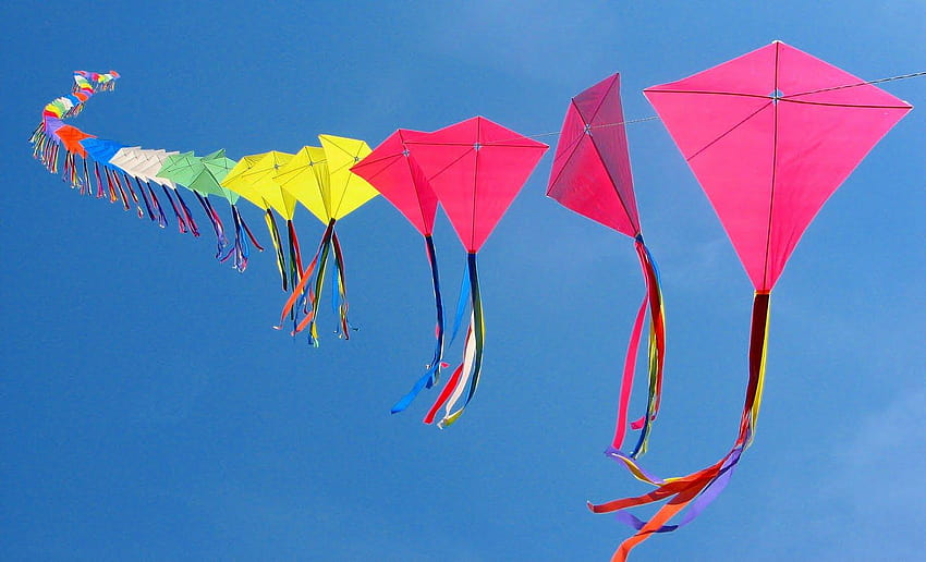 India Kites flying day 2014, 2014 India Kites flying day, flying kites HD wallpaper