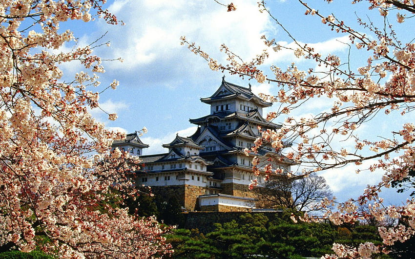 Himeji Castle HD wallpaper