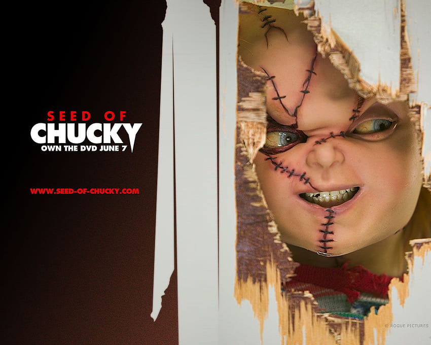 Benih Chucky Wallpaper HD