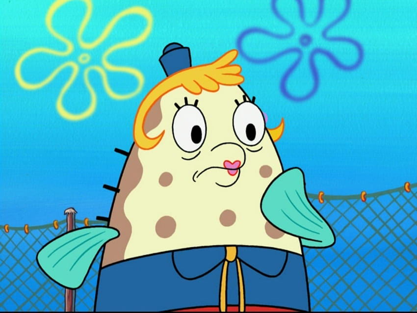 Ms Puff Funny ~ the worlds catalog of ideas, dbag of the day updated, mrs puff and spongebob HD wallpaper
