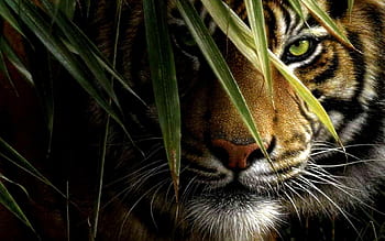 Zoo Tycoon players meet first Community Challenge supporting Sumatran Tiger  Survival Program