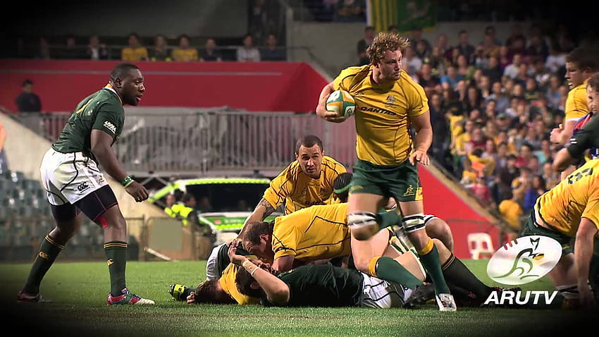 The Australian Rugby Union, wallabies HD wallpaper