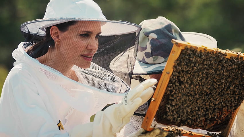 アンジェリーナ・ジョリーが養蜂の芸術を見せてくれるのを見て、 高画質の壁紙