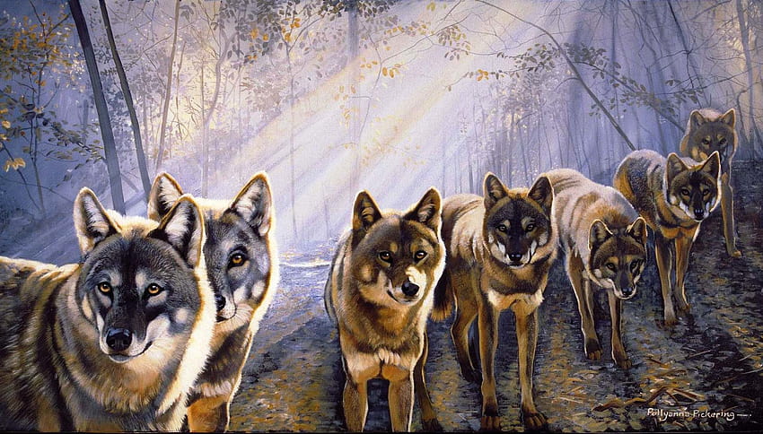 4 Lobo animado, familia de lobos fondo de pantalla | Pxfuel