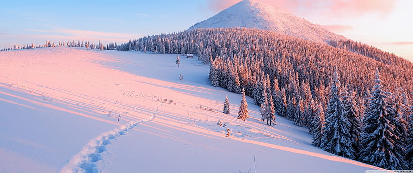 Winter, Nature Ultra Backgrounds for : & 울트라와이드 & 노트북 : 멀티 디스플레이, 듀얼 모니터 : 태블릿 : 스마트폰, 겨울 3440x1440 HD 월페이퍼