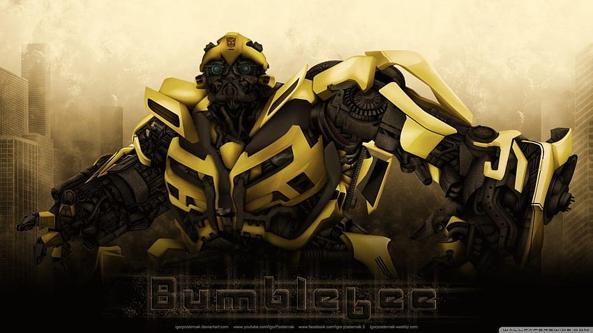 Bumblebee : High Definition : Mobile, bumble bee HD wallpaper