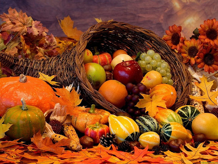 Thanksgiving Day Backgrounds, thanksgiving fair HD wallpaper