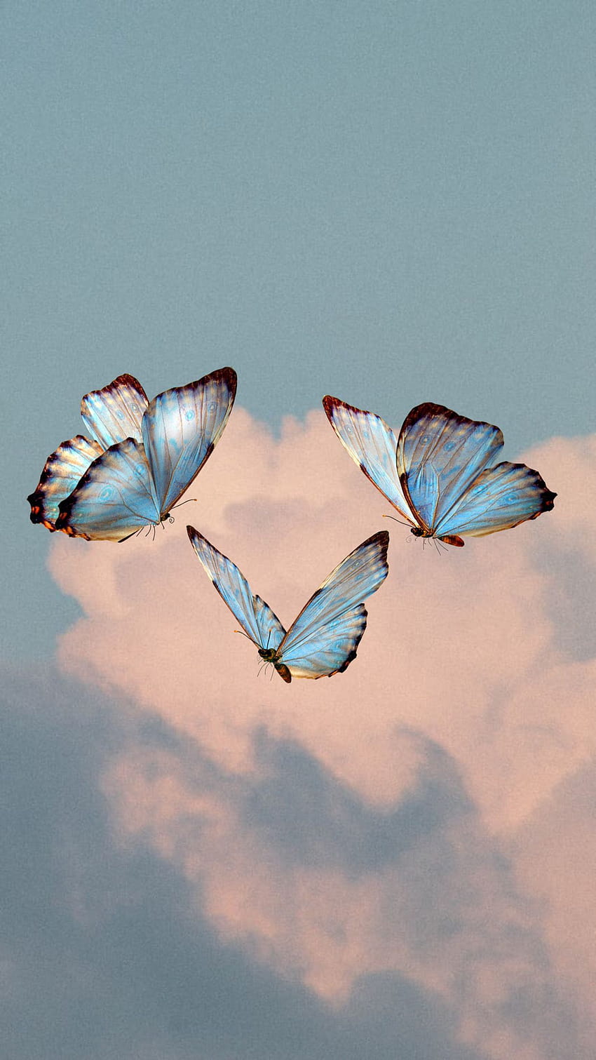 esthétique papillon mignon Fond d'écran de téléphone HD