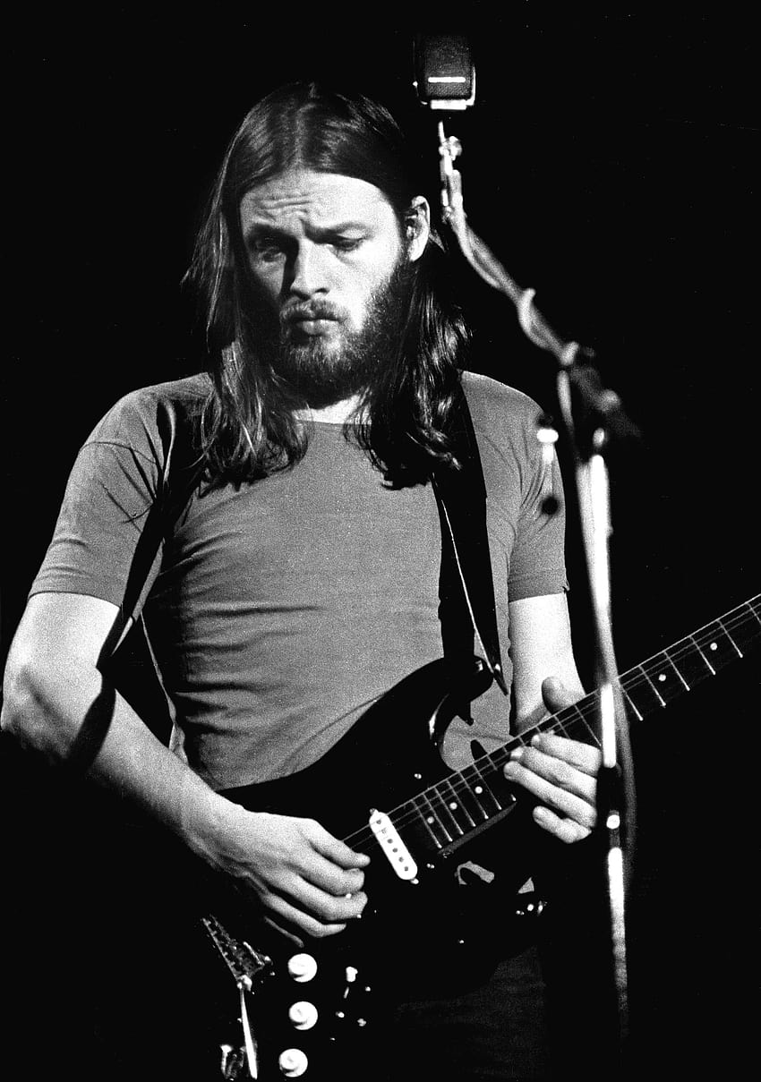 Davida Gilmoura Tapeta na telefon HD