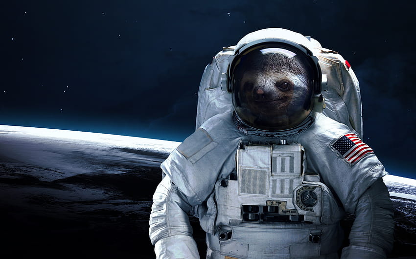 iphone 5 sloth astronaut wallpaper