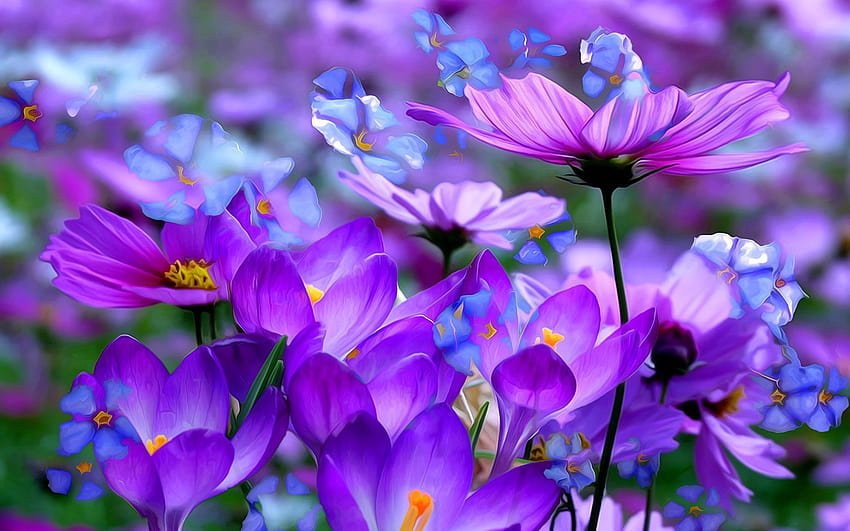 Mỗi khi bắt đầu mùa xuân, đầy sắc màu và hương thơm thiên nhiên. Hình nền hoa dại mùa xuân sẽ mang đến cho bạn không gian sống đẹp như trong tranh vẽ với những đóa hoa đầy màu sắc và rực rỡ ngập tràn trong không khí.