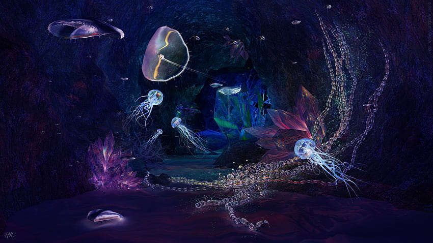 해파리 해양 생물 수중 물고기 물감 미술 예술적 CG 디지털 3d 3d 대양 해수 액체 젖은 식물 마법 HD 월페이퍼