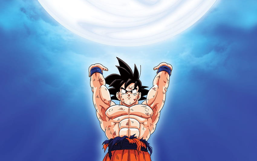 Goku Genkidama, genki dama HD wallpaper