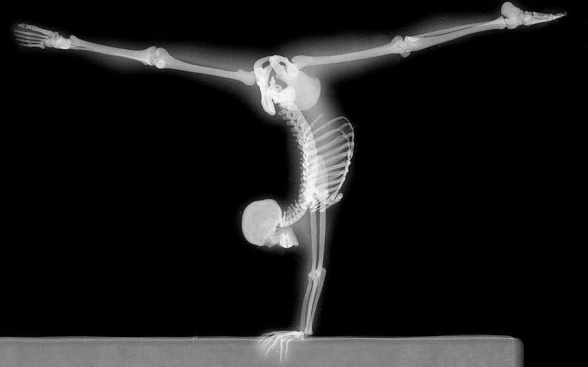 Menschliches Skelett, x, Handstand HD-Hintergrundbild