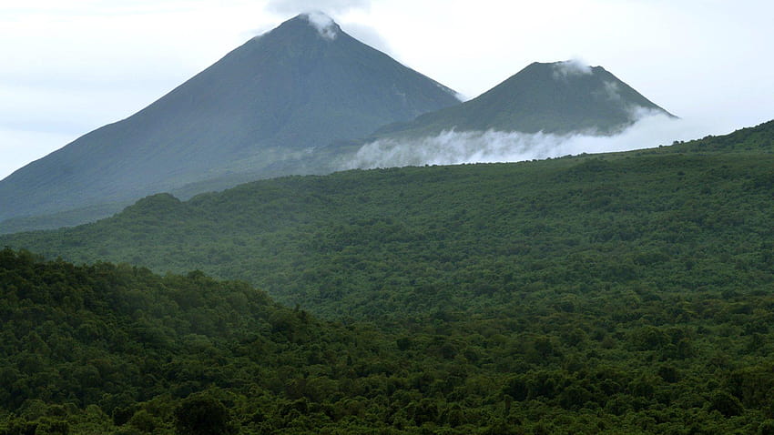 コンゴ民主共和国、コンゴ民主共和国の熱帯雨林を保護する協定に署名 高画質の壁紙