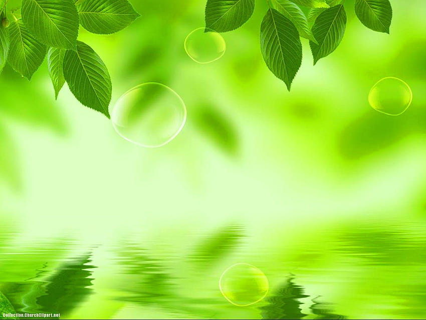 Zielone tła Ppt 72820, zielone tło dla ppt Tapeta HD