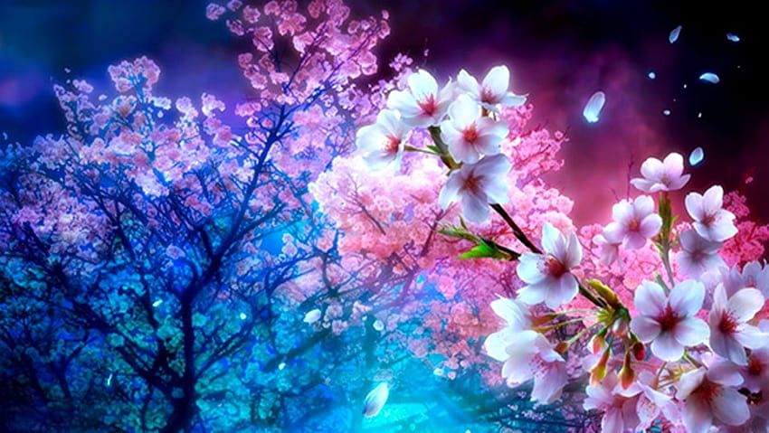Kirschblütenbaum, Great Nature Cherry Blossom Tree, Kirschblüten-Anime HD-Hintergrundbild