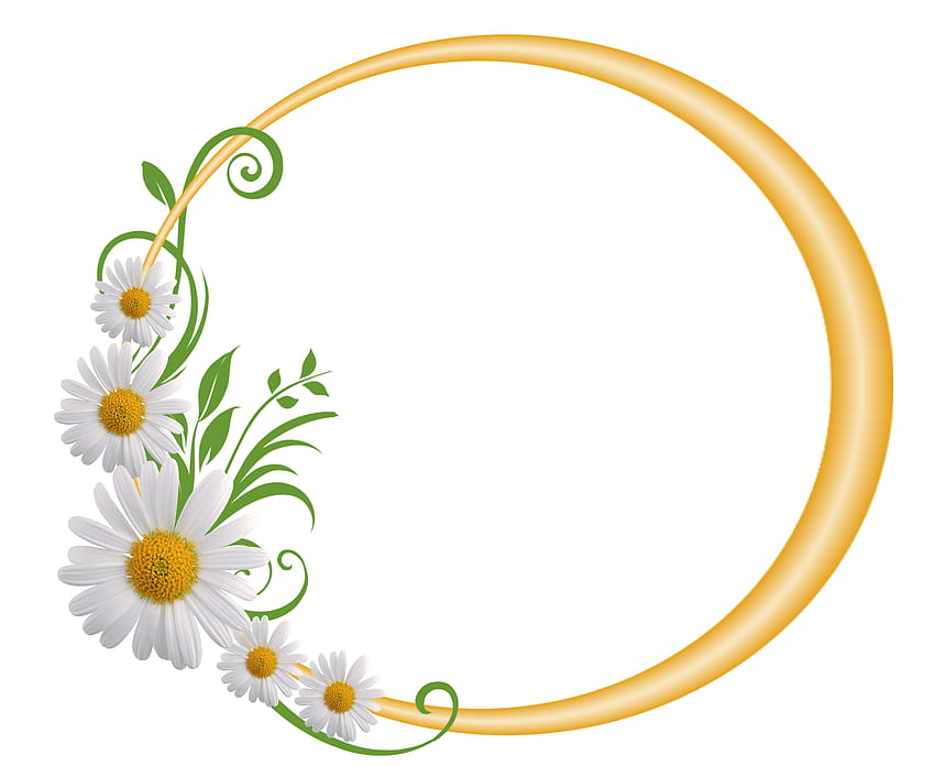 Yellow Round Frame with Daisies​ HD wallpaper