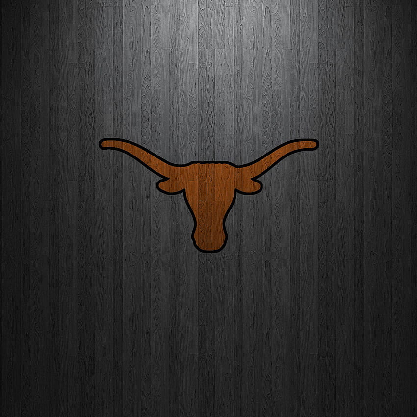 Texas Longhorns Football Backgrounds, texas longhorn cattle HD phone wallpaper