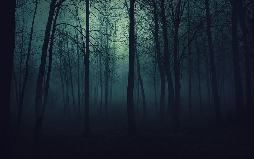 Sfondi scuri della foresta spaventosa e boschi spaventosi Sfondo HD