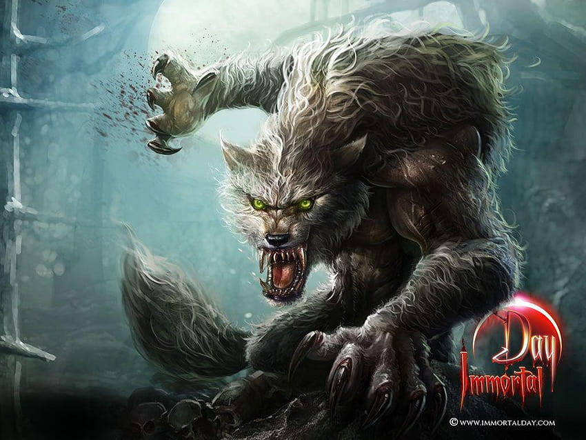 Vampire vs Werewolf by Zumaki97 on DeviantArt