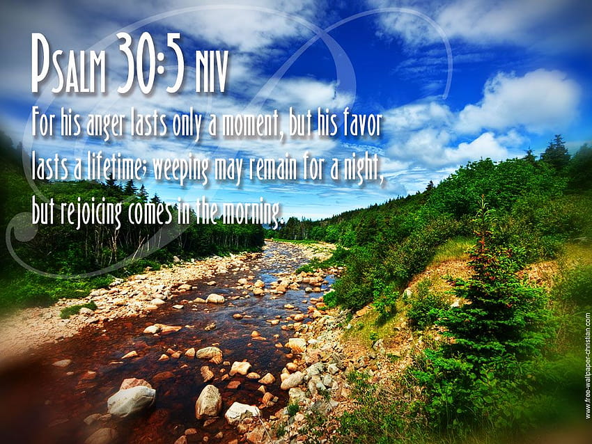 Psalm 30, early spring with bible verses HD wallpaper